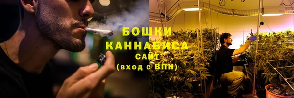 первитин Няндома