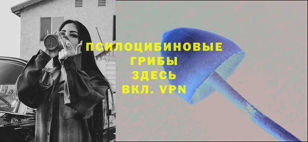 первитин Няндома