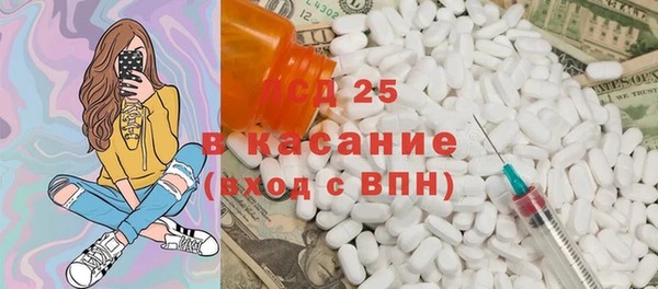 прущие грибы Тында