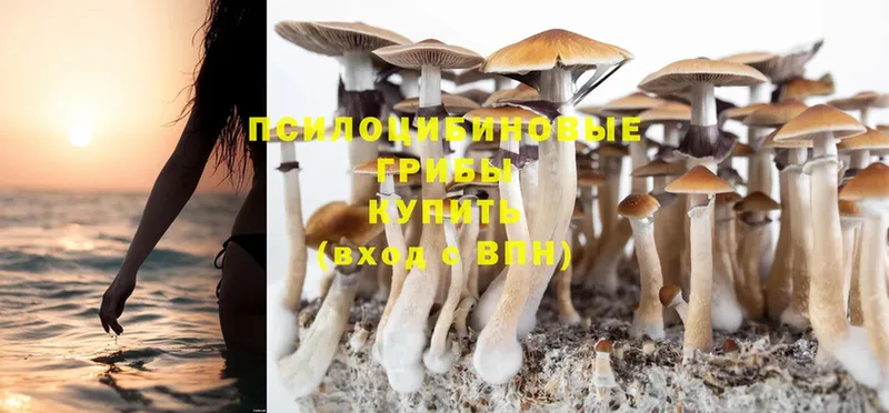 Псилоцибиновые грибы Magic Shrooms  цены наркотик  Кувандык 