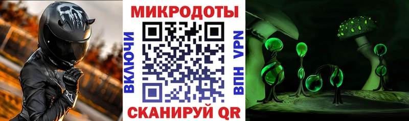 Галлюциногенные грибы Psilocybine cubensis  Кувандык 