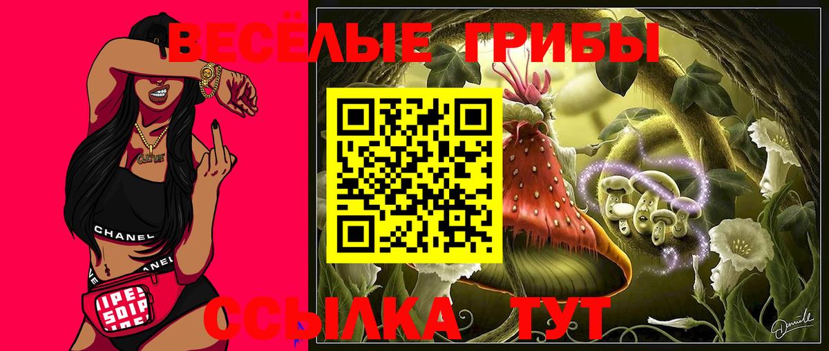 Галлюциногенные грибы Magic Shrooms Кувандык