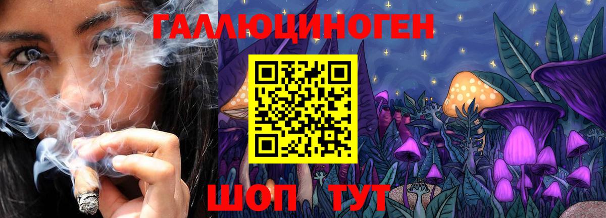 Кувандык  Псилоцибиновые грибы Psilocybine cubensis  Вход с VPN  Галлюциногенные грибы GOLDEN TEACHER 